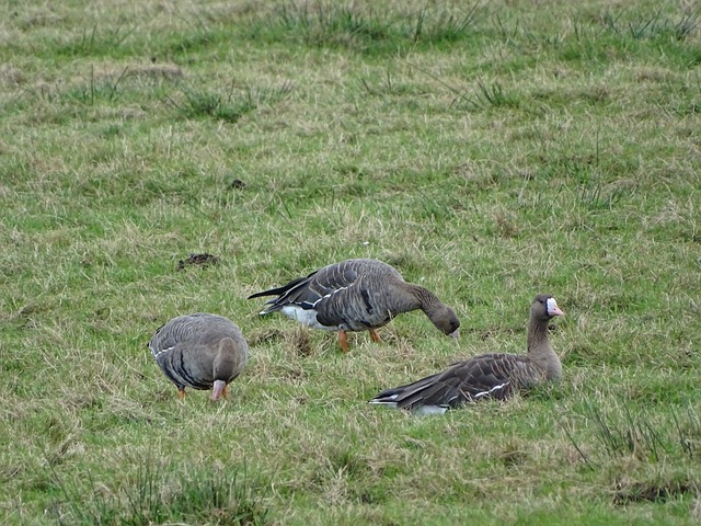 沃克：打進國家隊的首個進球後，我感到“如釋重負”！.