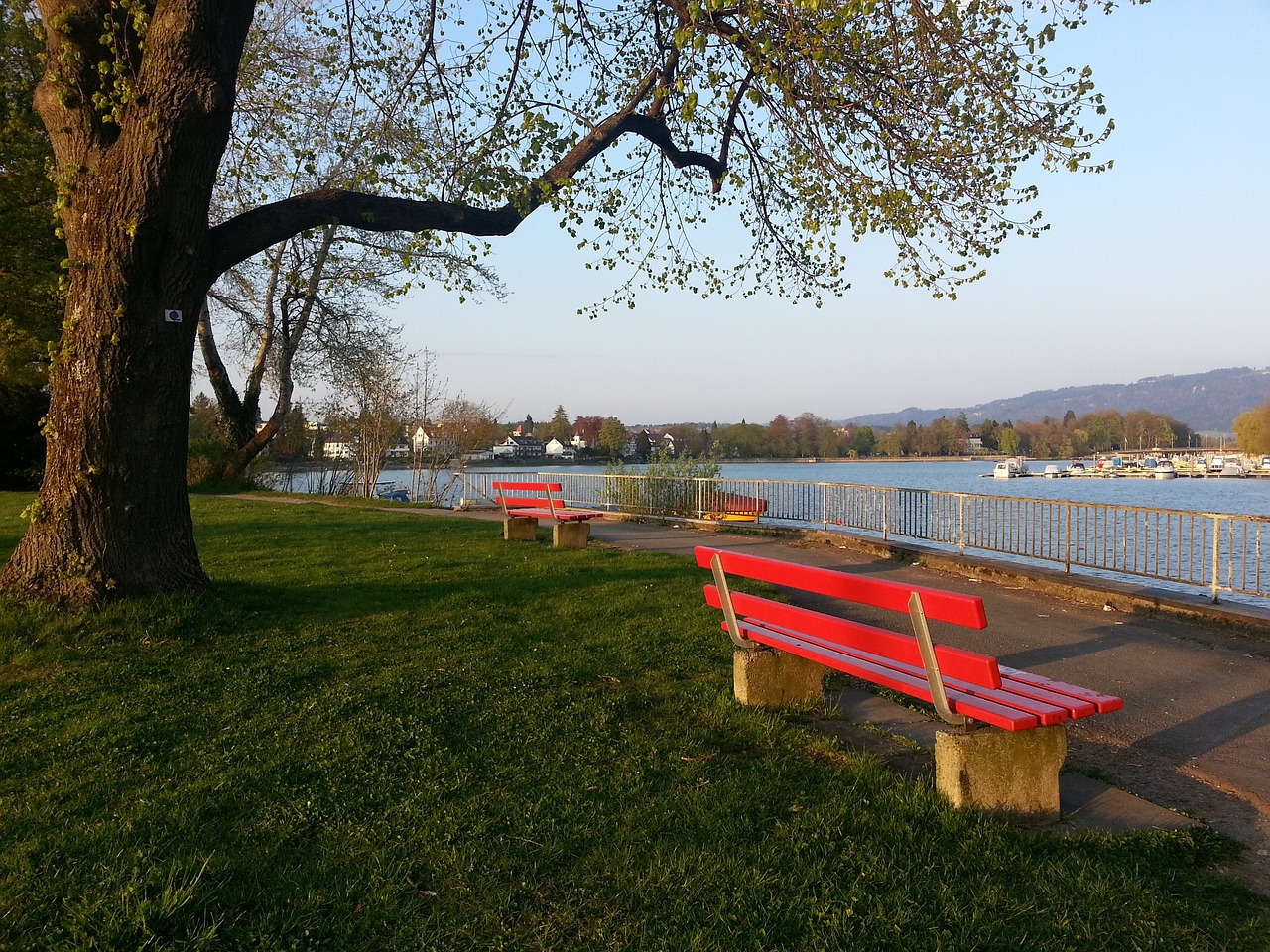 乌外长：乌总统已设定今年结束冲突的任务.