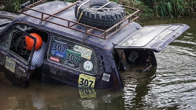 无论是香港 无论是香港