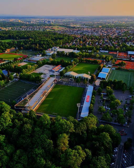 如果能够赢 如果能够赢