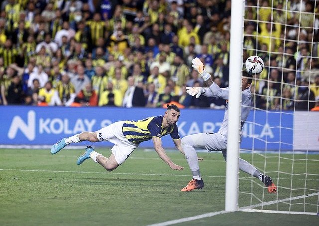 两种风格的 两种风格的